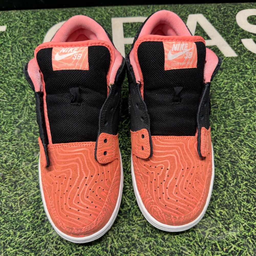 Nike SB dunk low fish ladder